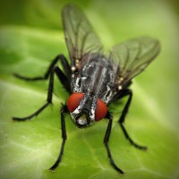 /album/yahoo/photolia-a01-jpg/