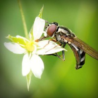 /album/yahoo/photolia-a02-jpg/