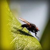 /album/yahoo/photolia-a04-jpg/