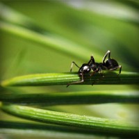 /album/yahoo/photolia-a05-jpg/