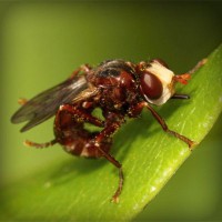 /album/yahoo/photolia-a06-jpg/