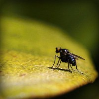 /album/yahoo/photolia-a07-jpg/