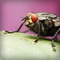 /album/yahoo/photolia-a08-jpg/